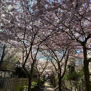 Meet your Posher, Bernice